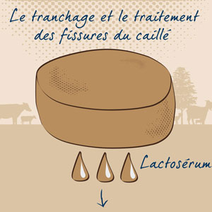 Fabrication fromage - Fromagerie Pornichet La Baule